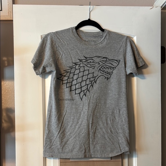 Game of Thrones Gray Graphic Fitted Short Sleeve T-Shirt - Picture 1 of 6